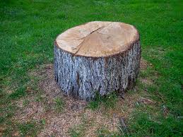 Best Lawn Grading and Leveling  in Fruit Heights, UT
